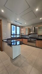 Ardmore Park (D10), Condominium #500980271